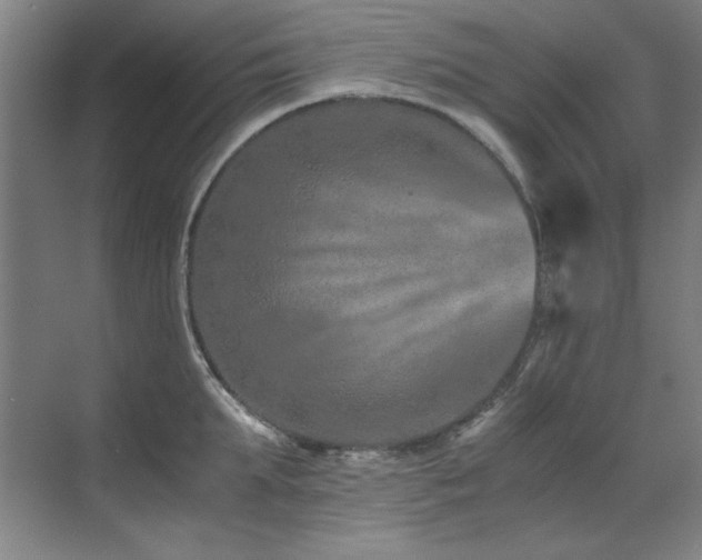 X0000071950903200607071207