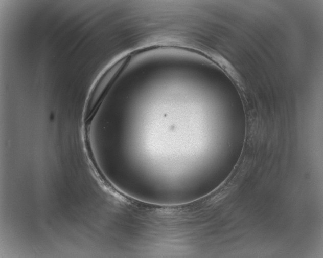 X0000071950904200607071207