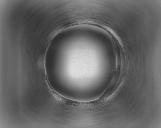 X0000071950905200607071207