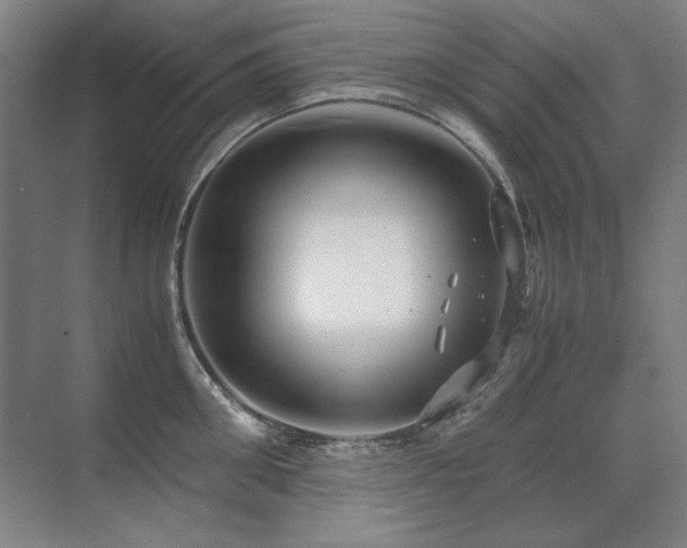 X0000071950906200607071207