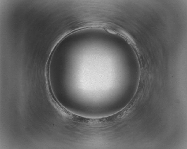 X0000071950907200607071207