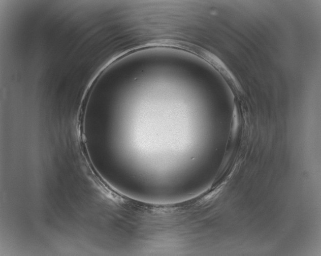 X0000071950908200607071207