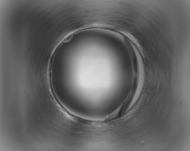 X0000071950910200607071207