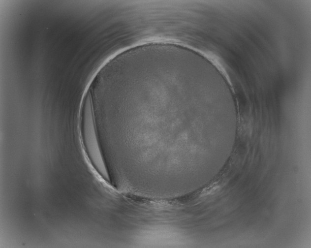 X0000071950911200607071207