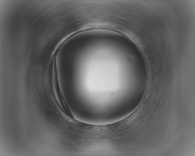 X0000071950912200607071207