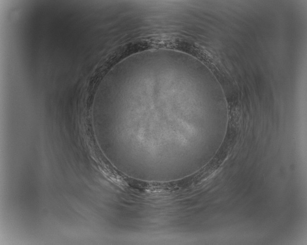 X0000071950913200607071206