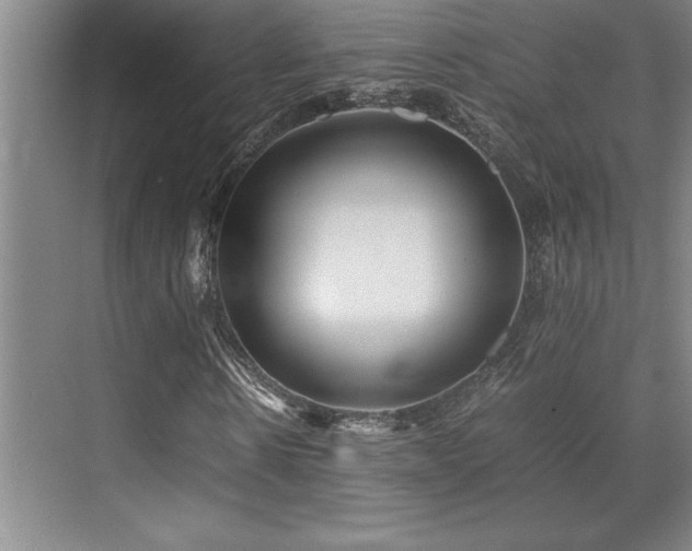 X0000071950914200607071206