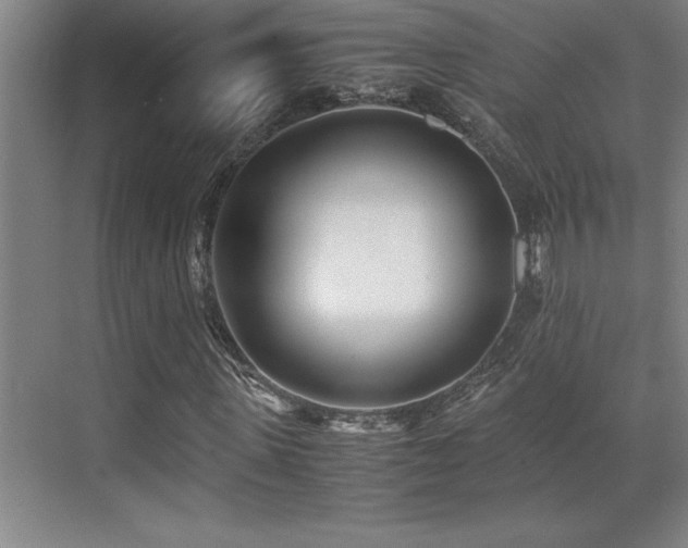 X0000071950915200607071206