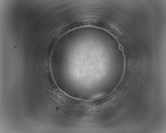 X0000071950917200607071206