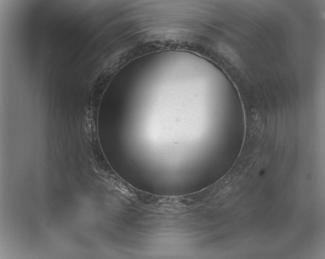 X0000071950918200607071206