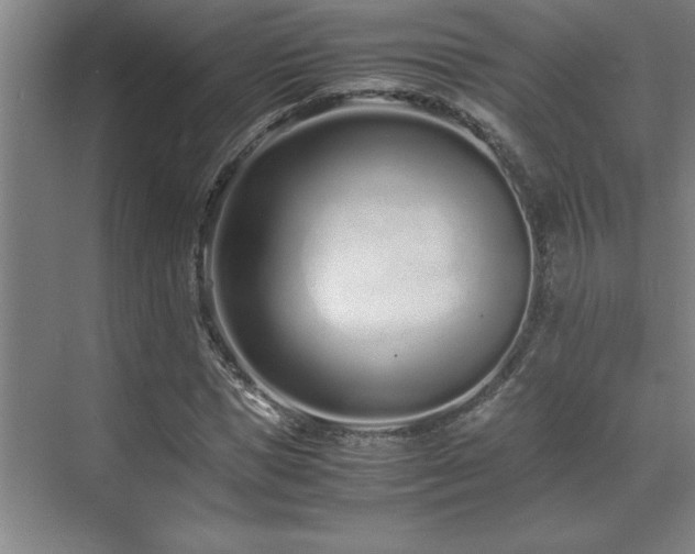 X0000071950921200607071206