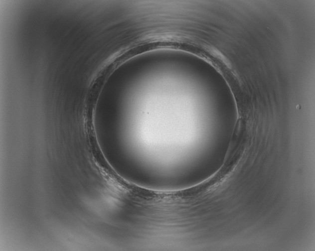 X0000071950922200607071206