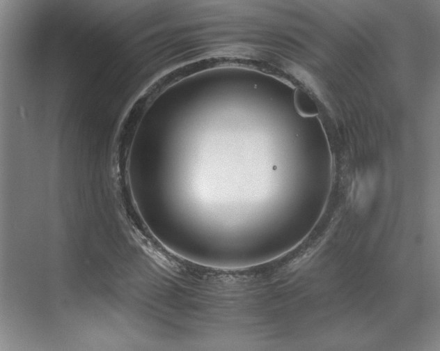 X0000071950923200607071206