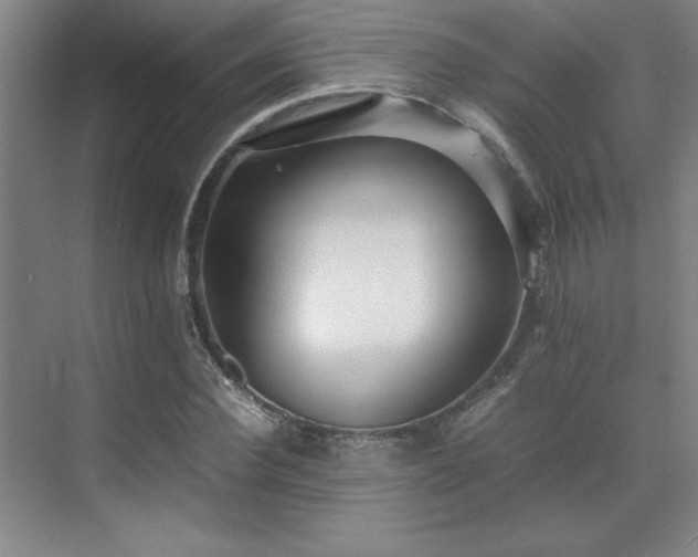 X0000071950924200607071206