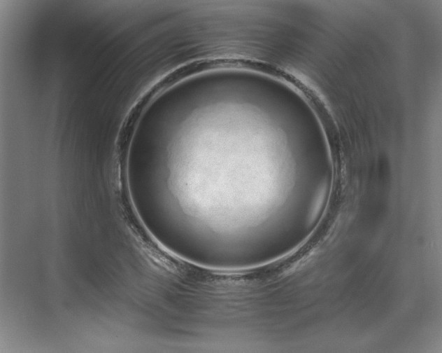 X0000071950925200607071206