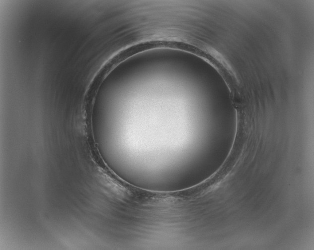 X0000071950926200607071206