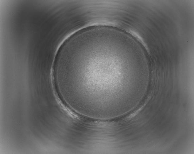 X0000071950928200607071206