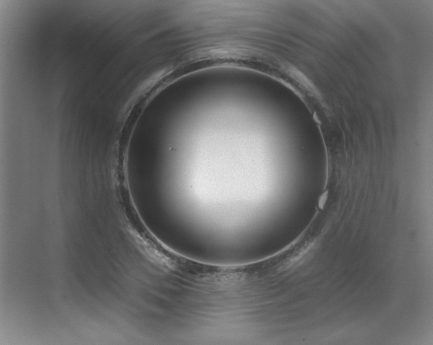 X0000071950930200607071206