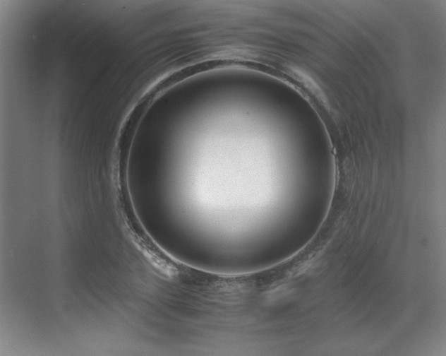 X0000071950931200607071206