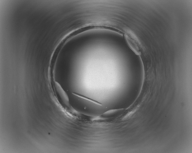 X0000071950932200607071206