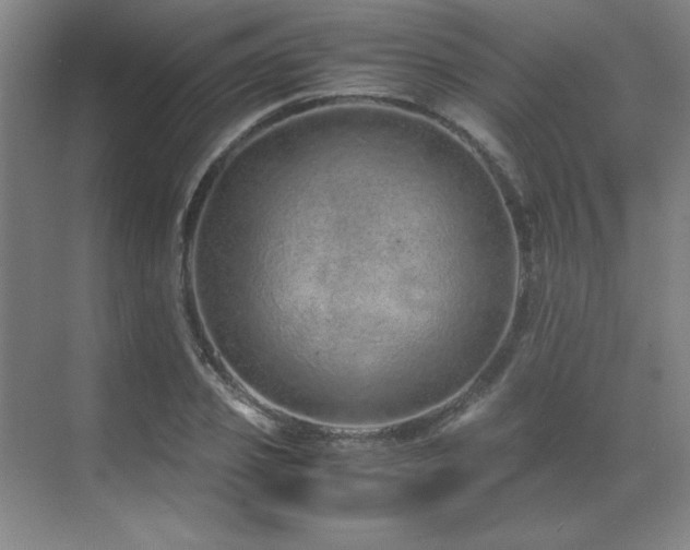 X0000071950933200607071206