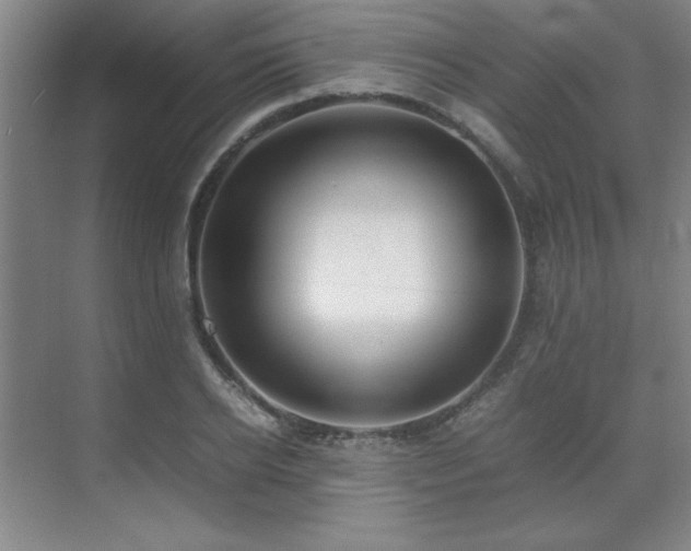 X0000071950934200607071206