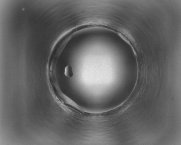 X0000071950936200607071206