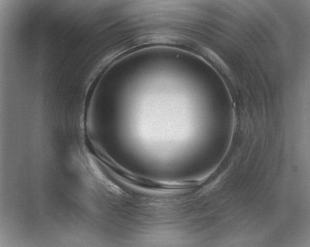 X0000071950938200607071206