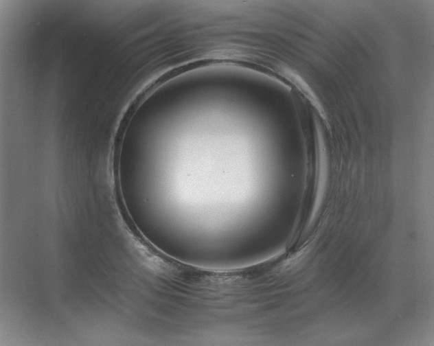 X0000071950939200607071206