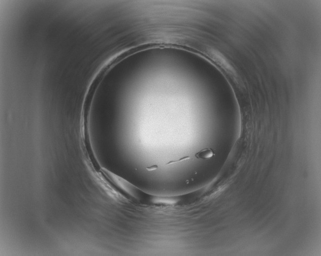 X0000071950940200607071206