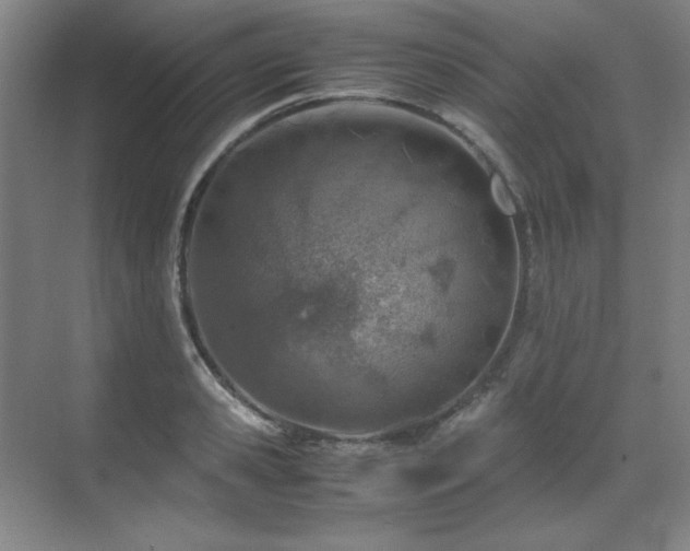 X0000071950941200607071206