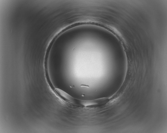 X0000071950943200607071206