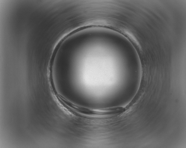 X0000071950944200607071206