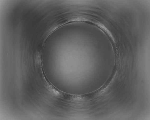 X0000071950945200607071206