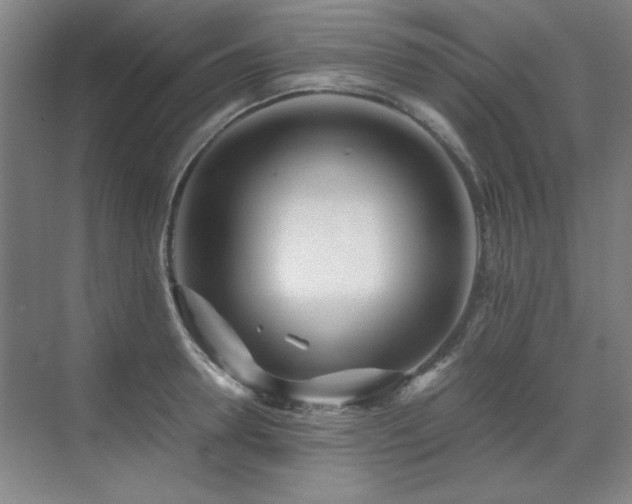 X0000071950946200607071206