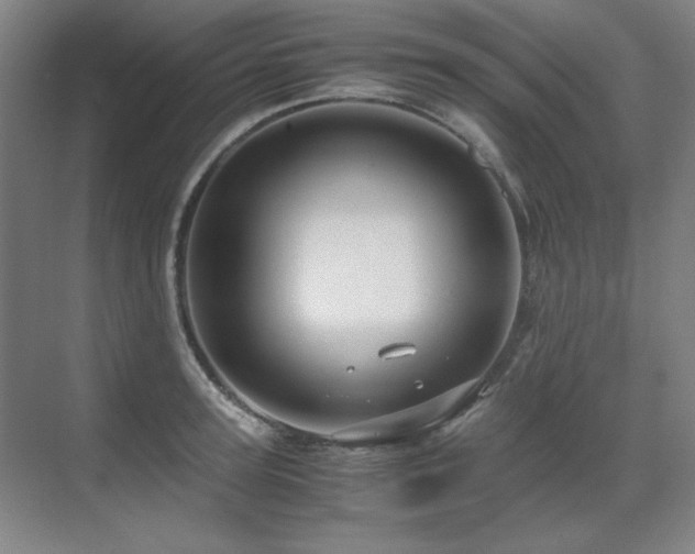 X0000071950947200607071206