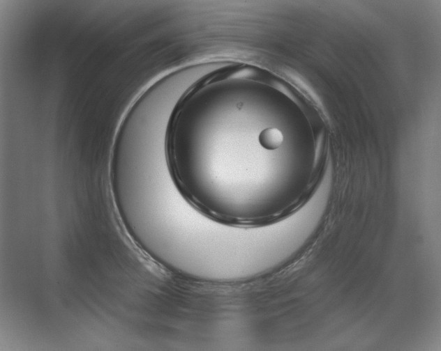 X0000071950948200607071206