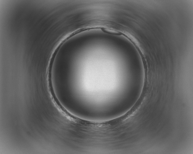 X0000071950949200607071206