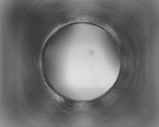 X0000071950950200607071206