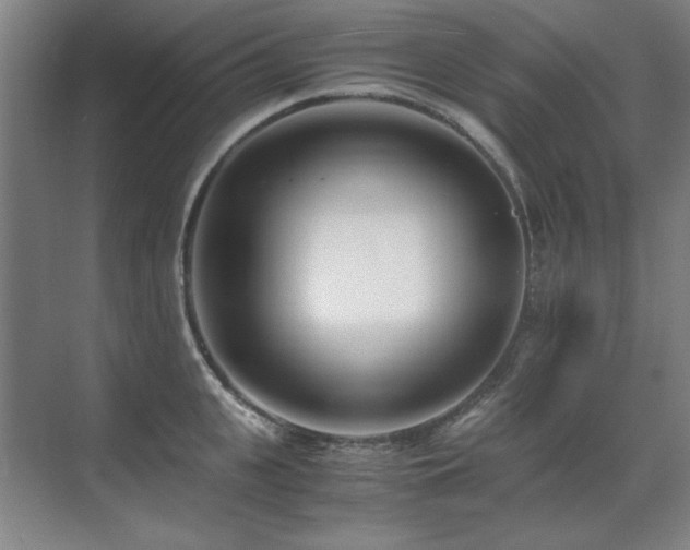 X0000071950951200607071206