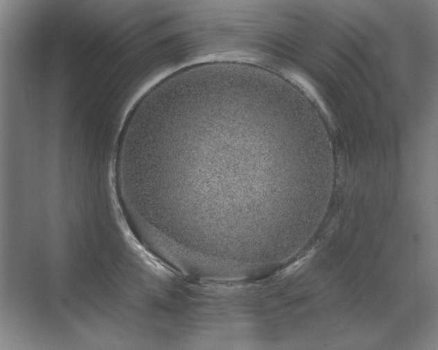 X0000071950952200607071206