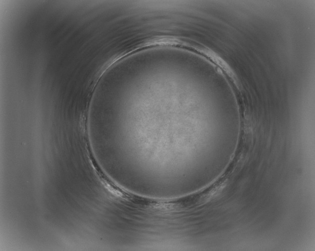 X0000071950953200607071206