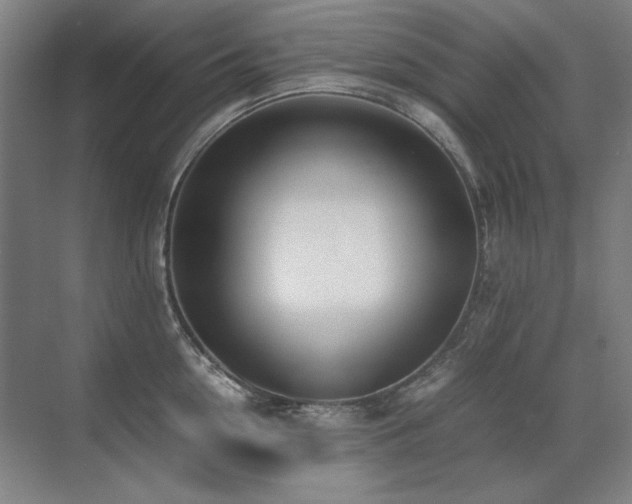 X0000071950954200607071206