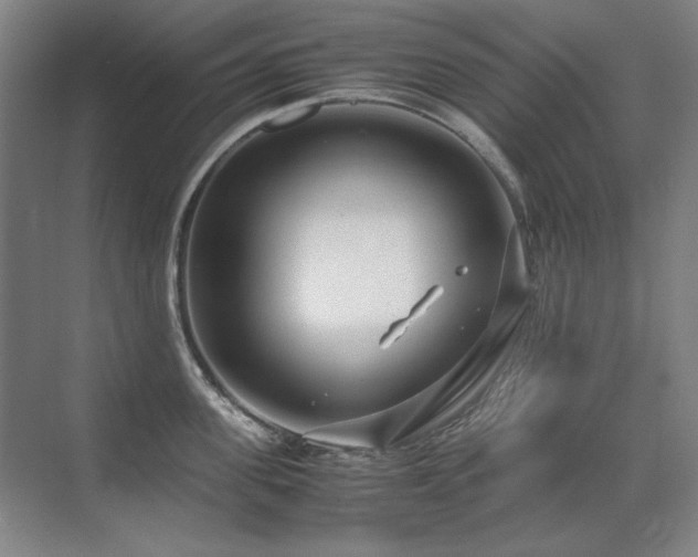 X0000071950955200607071206