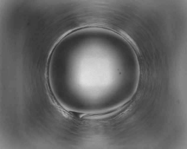 X0000071950956200607071206