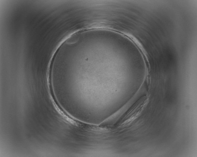 X0000071950957200607071206