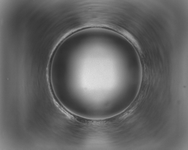 X0000071950958200607071207