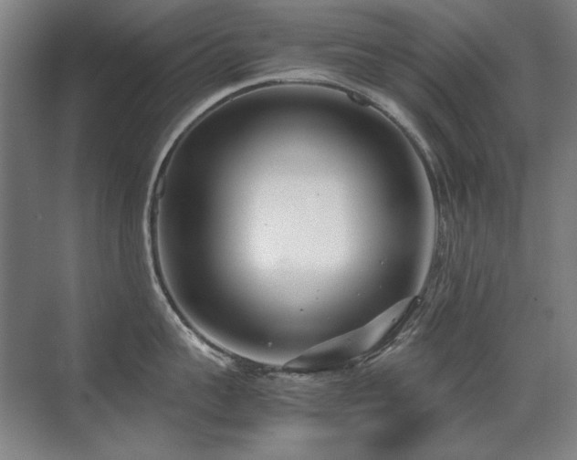 X0000071950959200607071207