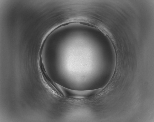 X0000071950960200607071207