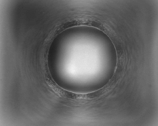 X0000071950961200607071206